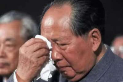 此情此景：谁能不为之动容？