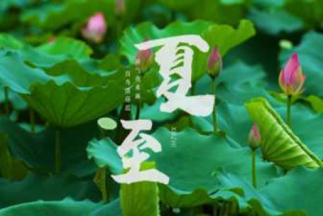 闫宏伟：节气诗词之夏至（2026.6.21）