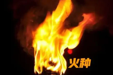 再论我们当代的教育