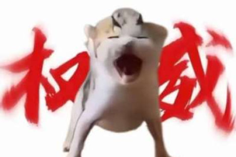 尊师重道，还是尊权服威？