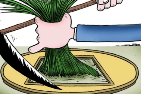 7月消费数据只涨0.6%，钱都去哪了？