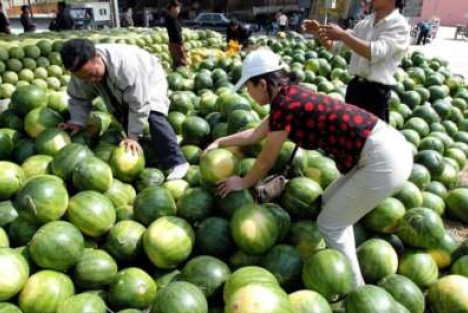 陈先义：让天下泪目的河南“全民吃瓜”助农热潮