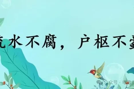 有人闻听“运动”便浑身发抖，其实运动的本质就是“批评和自我批评”！