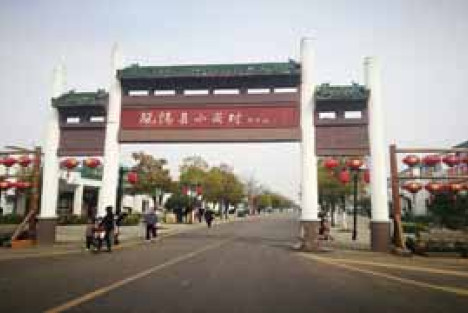 小岗村的集体化农业奇迹证明了什么？