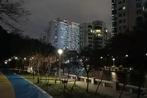 朱树松：大年三十夜有感
