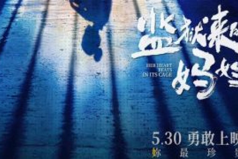 子午|秦晓宇、汪涵对无产阶级苦难的消费