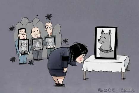 侯立虹 | 人命不如狗命是谁的悲哀？——热点追评系列之二