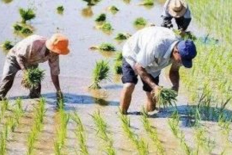 人民公社集体经济的内在运行机制是什么？