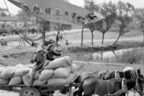 七十年代南沟村：藏在旧时光里的淳朴乡情