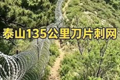 能不能借着泰山管委会认怂，趁势拿下青海湖管委会？秦岭管委会？赛里木湖管委会......