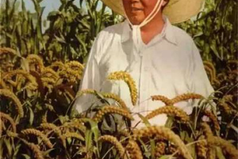 毛主席为什么把“包产到户”看得那么严重，现在终于应验了！