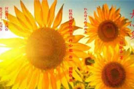 郭松民 | 评“火车零食占座”：要找回的不仅是一个座位