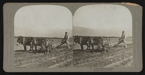 华北农民耕作,1902年。该图呈现近代华北乡村的生产环境。