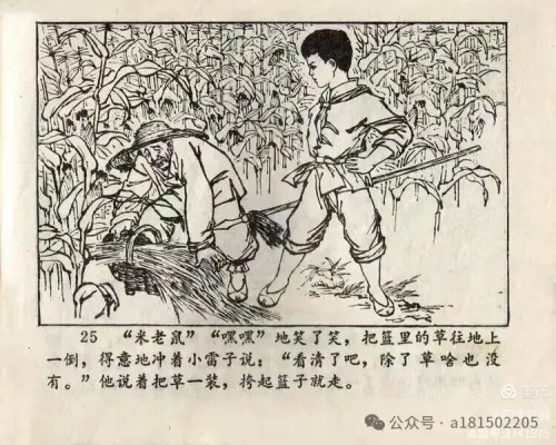 图片