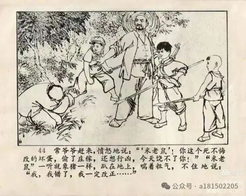 图片