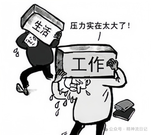 插入的图片