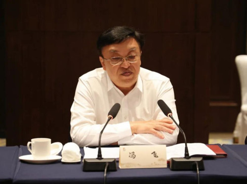 海南省委书记冯飞会见胡伟武等北京浙江企业商会一行 - 乌有之乡