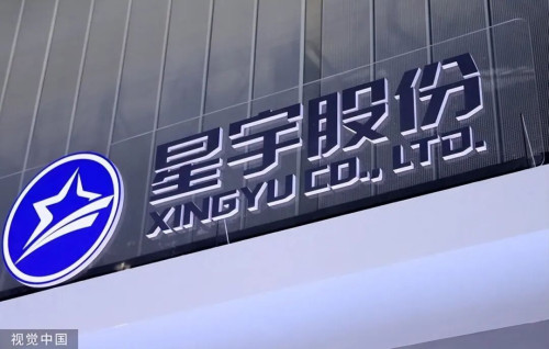 星宇股份：营收首破百亿，毛利率逐年下行，且看常州女首富如何破局？_财富号_东方财富网