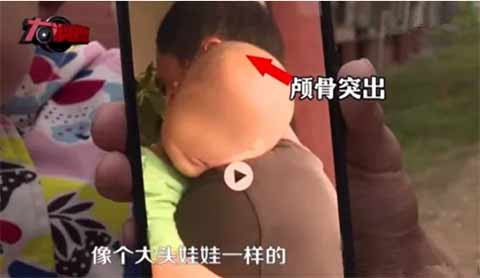 月报｜《生物安全法》征集意见，4500名群众上书要求涵盖转基因