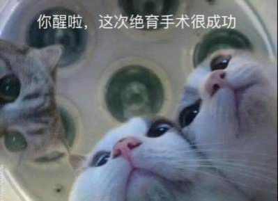 性教育是毛时代计划生育的重要一环,八十年代末孙沐寒重申了性教育对计划生育的重要性,由于八十年代色情文化死灰复燃及清除精神污染运动的推行,性再次成为一大禁区。