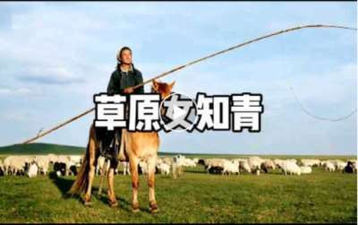 阅读偶记（2）西方马克思主义者从中国学到什么？