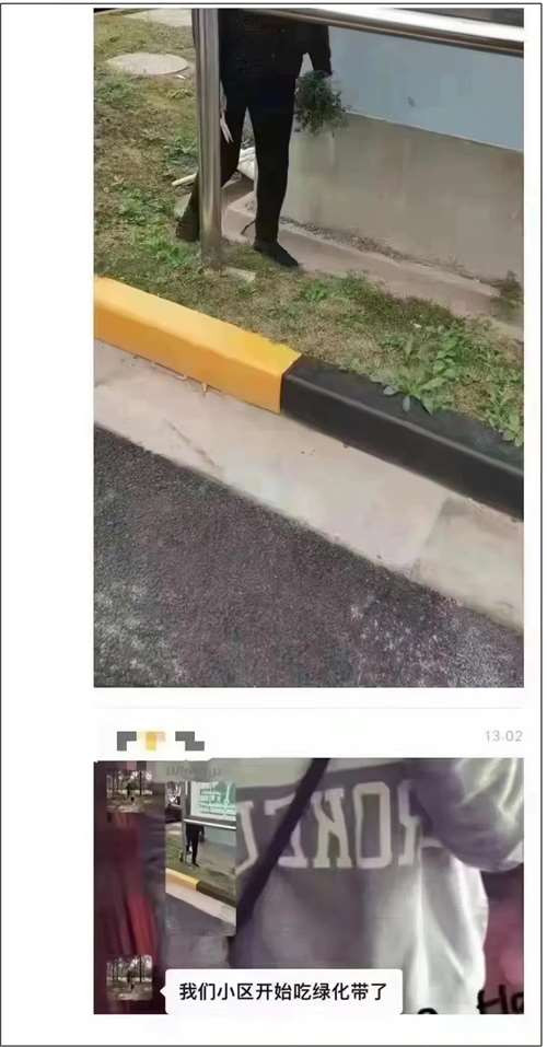 从精准防控标杆到一周三万，上海怎么了？