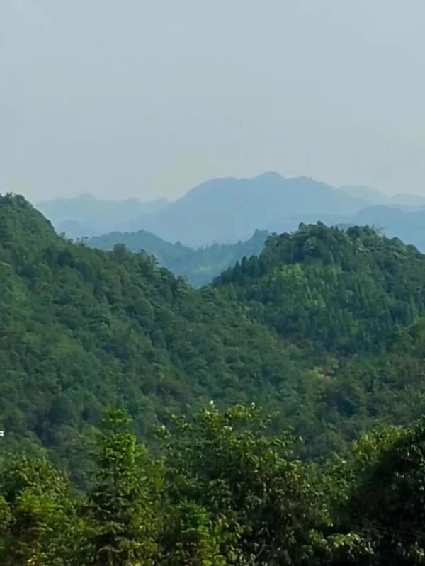 前锋:红色乌蒙山,神奇杉木沟