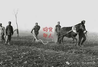 我“赤化”了吗?政训官评国共两军