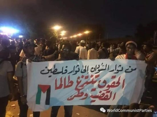 世界各地人民声援巴勒斯坦的行动