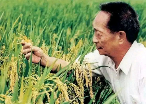 历史不容篡改,英雄不容诋毁,毛主席的历史地位与新中国前三十年的伟大成就,早已镌刻在民族丰碑上,经得起时间与人民的检验。愿每一位知识分子都以脊梁为榜样,心怀家国、扎根人民,坚守良知与底线,做真正有益于国家、无愧于人民的学者,而不是做脱离群众、嫉贤妒能、抹黑历史的跳梁小丑。