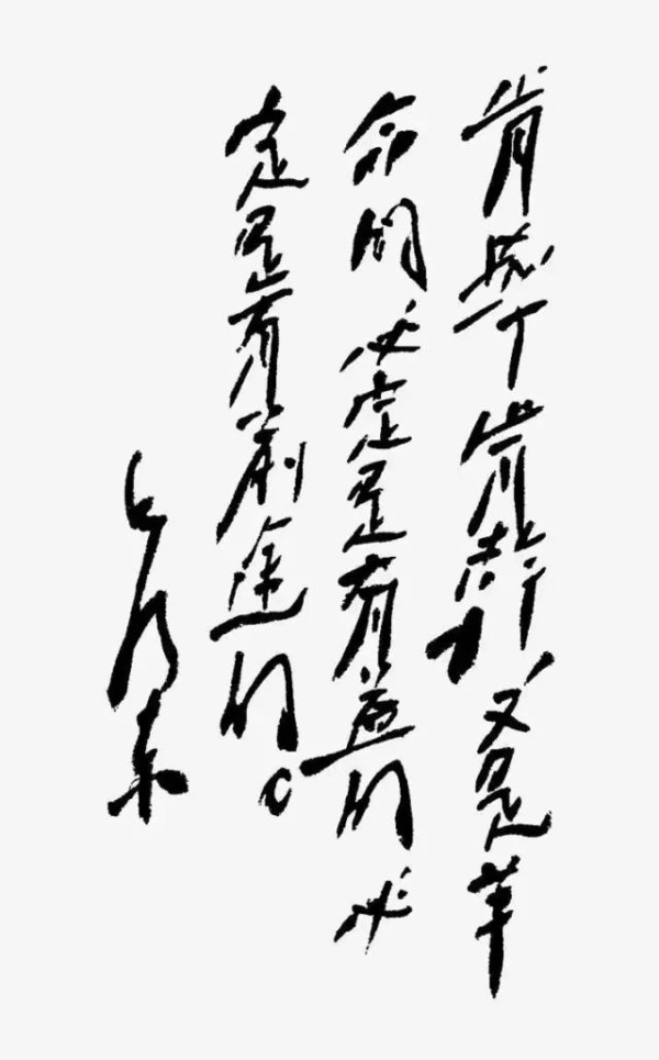 毛泽东：青年要“肯学肯干，又是革命的”