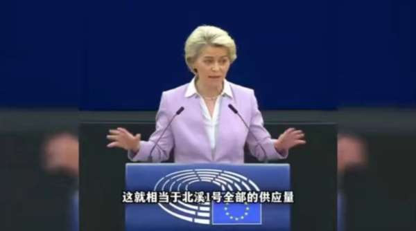 重工业属于重资产,投资时间长,对于能源极其敏感,万万断不得,像巴斯夫这种厂子就建在海边,这边原物料进去,所有的原物料都在厂子内部循环,裂解成各式各样所需要的物质,品类比较单一的物质进去,却最终可以裂解各式各样的化学品,然后直接就地装船运走。当一个国家的能源出问题,绝对不是冯德莱恩所说的“多穿点衣服”之类的那么简单。