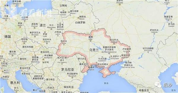 美国靠得住，母猪能上树！