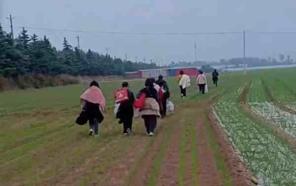 “躺平”?请先看看富士康的“生动演绎”!