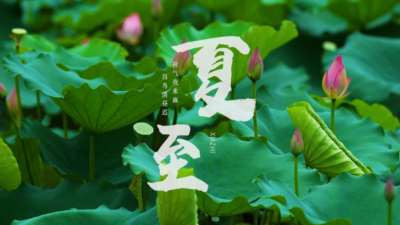闫宏伟：节气诗词之夏至（2026.6.21）