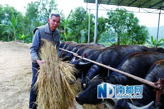82岁毛泽东警卫员李连庆离开北京回老家办养牛场