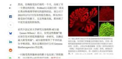 80万美元救命！6岁女孩基因编辑7天惨死，上海医院将死亡真相隐瞒至今