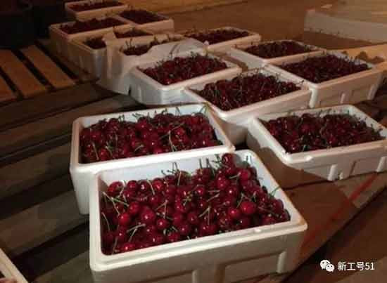 零下20度，进口樱桃，臭馊的菜，跑路的中介——回忆国庆日结工生活