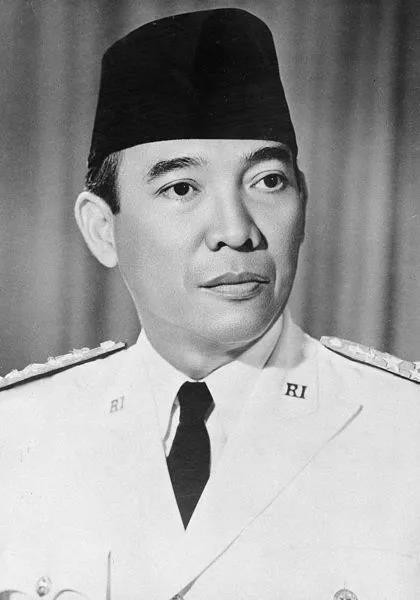 1965年，世界第三大共产党的“非自然死亡”