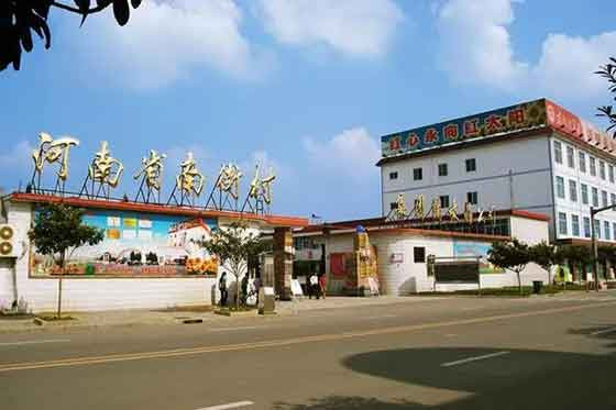 这个村又添
