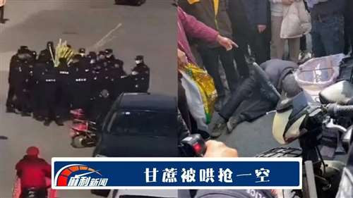 “师爷,没收老大爷甘蔗的那几个是外包的临时工吧?赶紧把他们辞退了,再给人家老大爷赔礼道歉。以后一定要加强管理,做到人性化服务……”