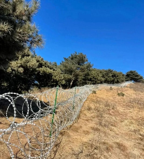 这场闹剧绝非简单的项目整改,而是形式主义、官僚主义催生“短命工程”的典型案例。外在的刀片铁丝网可以快速拆除,但盘踞在部分干部头脑里的官僚主义思维之网,更需要连根拔除;项目整改不能作为事件的终点,深挖决策漏洞、从严追责问责,才是整治作风顽疾的治本之举。