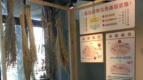 大豆玉米供应来源可追溯，学校午餐禁用基改食品——2019台湾非基改运动报告
