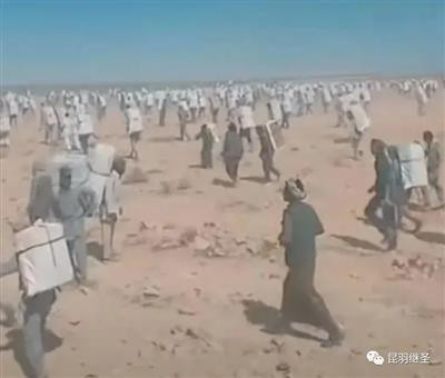 为占领巴勒斯坦,以色列把耶经当地契,可惜这些故事皆是虚构