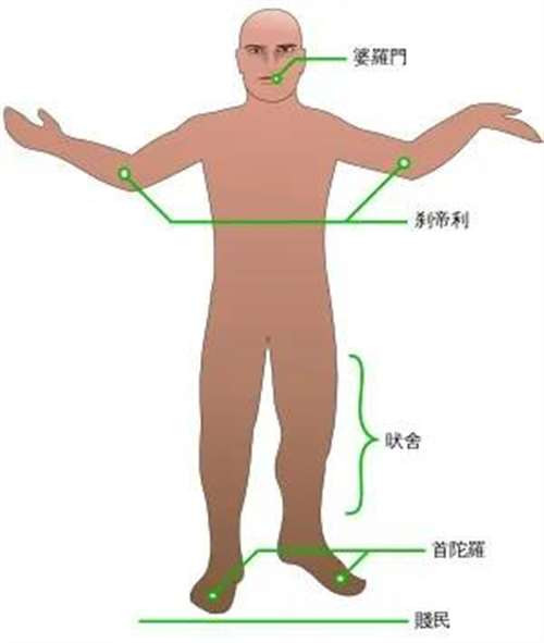 印度人喝牛尿吃牛粪，到底是圣牛传统，还是驭民之术？