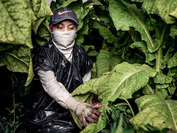 美国自诩的世界人权灯塔，照不进自己的黑暗角落。或许，这就叫“灯下黑”吧！