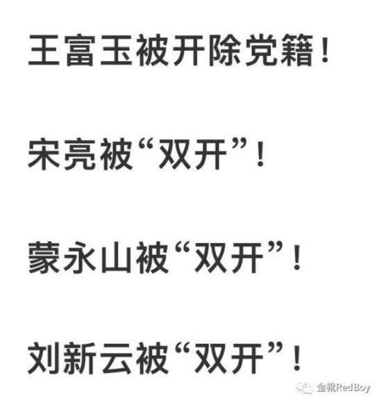 社会主义中国想要永葆工农阶级的主人翁利益与地位不受伤害，想要永葆与世界发达国家（通过殖民侵略实现）的先进生产力进行抗衡的工业实力，不二选择即是做大国有企业资本、遏制民间资本无序扩张。