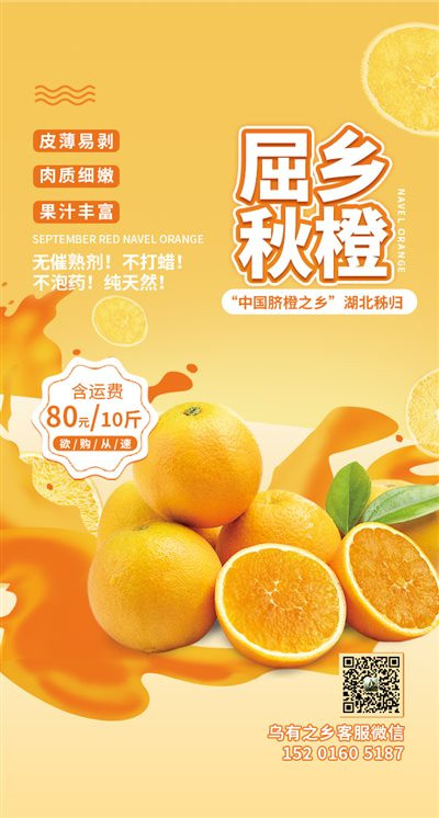 共产党和工人党关于“声援巴勒斯坦人民国际日”的联合声明