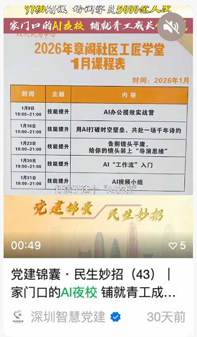 从1905年革命失败到斯托雷平镇压时期，尽管工会会员大量流失、罢工低迷，且资源向维持组织的延续倾斜，但劳工组织通过文化俱乐部、互助协会等合法外壳，在地下党人的参与下，维持了运动的火种并实现了“合法与非法”斗争形式的结合 。