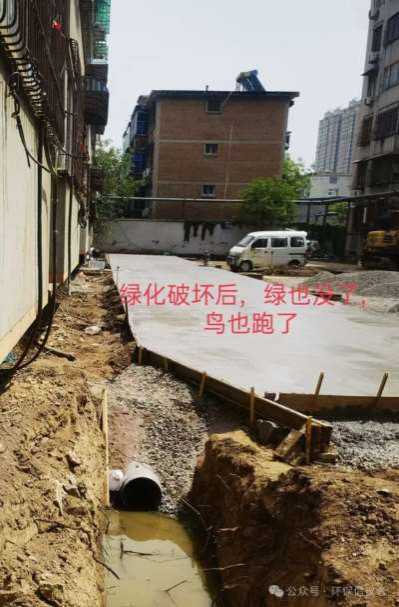 新乡市红旗区一社区铲绿扩路引质疑，老旧小区改造岂能“以硬代绿”？